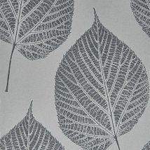 Фото: Серые акцентные обои с крупными листьями 112608- Ампир Декор