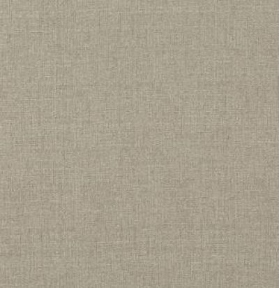 BF10698-110 Vintage Linen Linen Однотонная ткань GP&JBaker